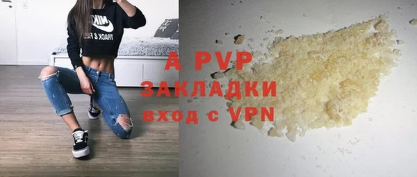 крисы Баксан