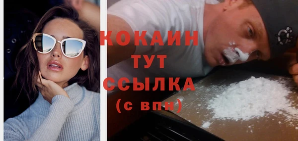 дживик Аркадак