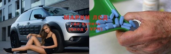 крисы Баксан