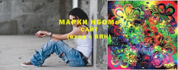 крисы Баксан