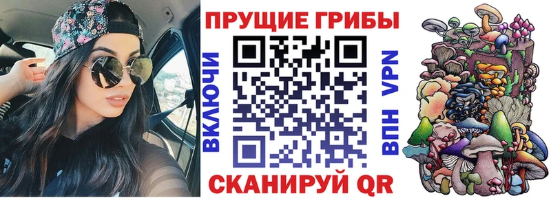 Псилоцибиновые грибы Psilocybine cubensis  Зуевка 